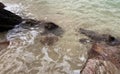 a photography of a beach with a rock and water, sea - coast scene with rocks and water with a wave coming in Royalty Free Stock Photo