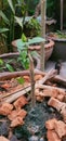 a photography of a bird is perched on a tree branch, flowerpots and pots filled with plants and plants in a garden