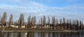 a photography of a boat is floating in the water near a row of trees, lakeshore with a sailboat and houses in the background Royalty Free Stock Photo