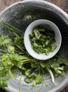 a photography of a bowl of cilantro and a bunch of parsley, mortar and a bowl of cilantrope in a metal bowl