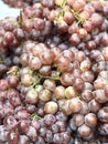 a photography of a bowl of grapes with a bunch of green leaves, a close up of a bowl of grapes with green stems Royalty Free Stock Photo