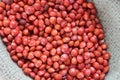 a photography of a bowl of red beans sitting on a table, rose hippeats in a bowl on a table Royalty Free Stock Photo