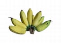 a photography of a bunch of bananas on a white background, there are a bunch of bananas that are on a white surface