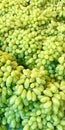 a photography of a bunch of grapes are piled together, banana and grapes are piled together in a pile on a table