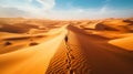 Mirage of Hope in Desert Wasteland./n