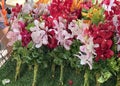 a photography of a display of flowers and greenery in a store, flowerpots of different colors and sizes are arranged on a table