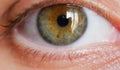 Female human eye closeup shot Royalty Free Stock Photo