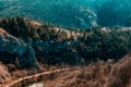 Wild Forest of Suncuiux in Rumania