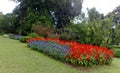 a photography of a garden with a variety of flowers in the middle, flowerpots in a garden with a lawn and trees in the background Royalty Free Stock Photo