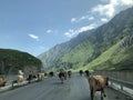 Georgia, mountains, Kazbek, beautiful summer landscape Royalty Free Stock Photo