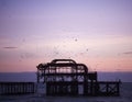 Photography image Brighton Pier beach at twilight sunset with birds flocking taken South coast England UK Royalty Free Stock Photo