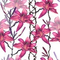 Photography lilac lily on white background. Floral seamless pattern.