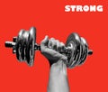 Photography of male hand holding dumbell gym weight Royalty Free Stock Photo