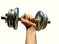 Photography of male hand holding dumbell gym weight Royalty Free Stock Photo