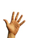 Photography of male left hand palm