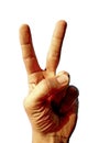 Photography of male left hand showing victory or peace symbol