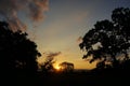 A Photography of nature, sunset silhouette and trees.