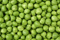 Photography of pea grains Royalty Free Stock Photo