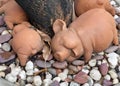 a photography of a pig statue laying on a bed of rocks, cauldron of clay pigs laying on a bed of rocks Royalty Free Stock Photo