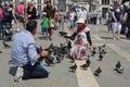 Photography pigeons