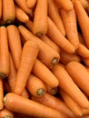 a photography of a pile of carrots with green tops, there are many carrots that are piled together in a pile