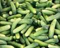 a photography of a pile of cucumbers sitting on top of each other, cucumbers are piled up in a pile on a table