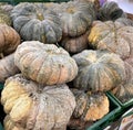 a photography of a pile of pumpkins sitting on top of a table, spaghetti squashs are piled in a green crate at a market