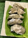 a photography of a plate of oysters on a green leaf, conch shells on a plate on a green leaf on a table Royalty Free Stock Photo