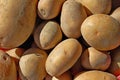 Photography of potatoes solanum tuberosum Royalty Free Stock Photo