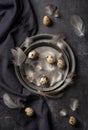 Photography of quail eggs and feathers Royalty Free Stock Photo