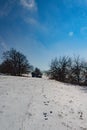 Photography of rabbit footprints in the snow