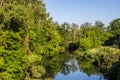 Photography of river in summer times