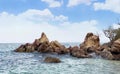 a photography of a rocky beach with a few rocks in the water, sea - coast scene with rocks and trees in the water Royalty Free Stock Photo