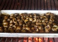 photography of snails on the grill, cargols a la llauna typical cuisine of LÃÂ©rida Catalonia Spain