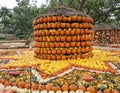 Photography spot with multicolored round straw pumpkin house at the Dallas Arboretum in Texas