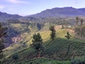 Photography of Sri Lanka's Beautiful Waterfall, Mountains, Trees, and Blue Sky Royalty Free Stock Photo