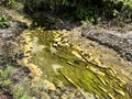 a photography of a stream of water with moss and rocks, valley with a stream of water and mossy vegetation in the middle