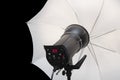 Photography studio strobe flash with white umbrella Royalty Free Stock Photo