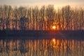 Photography of sunset through trees silhouettes by the Tisa river