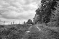 Photography on theme beautiful footpath in wild foliage woodland