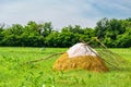 Photography on theme big dry haystack in grass farm field Royalty Free Stock Photo