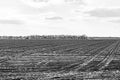 Photography on theme big empty farm field for organic harvest