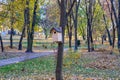 Photography on theme empty hanging birdhouse to natural forest tree