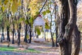 Photography on theme empty hanging birdhouse to natural forest tree