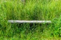 Photography on theme old wooden bench overgrown with grass Royalty Free Stock Photo