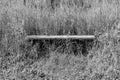 Photography on theme old wooden bench overgrown with grass Royalty Free Stock Photo