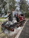 a photography of a train engine with steam coming out of it, steam locomotive pulling passenger cars on a track near a park Royalty Free Stock Photo