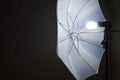 Photography Umbrella Light.