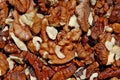 Photography of walnut kernals Royalty Free Stock Photo