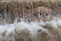 a photography of a waterfall of water flowing over a rock wall, fountain of water flowing over rocks and water surface Royalty Free Stock Photo